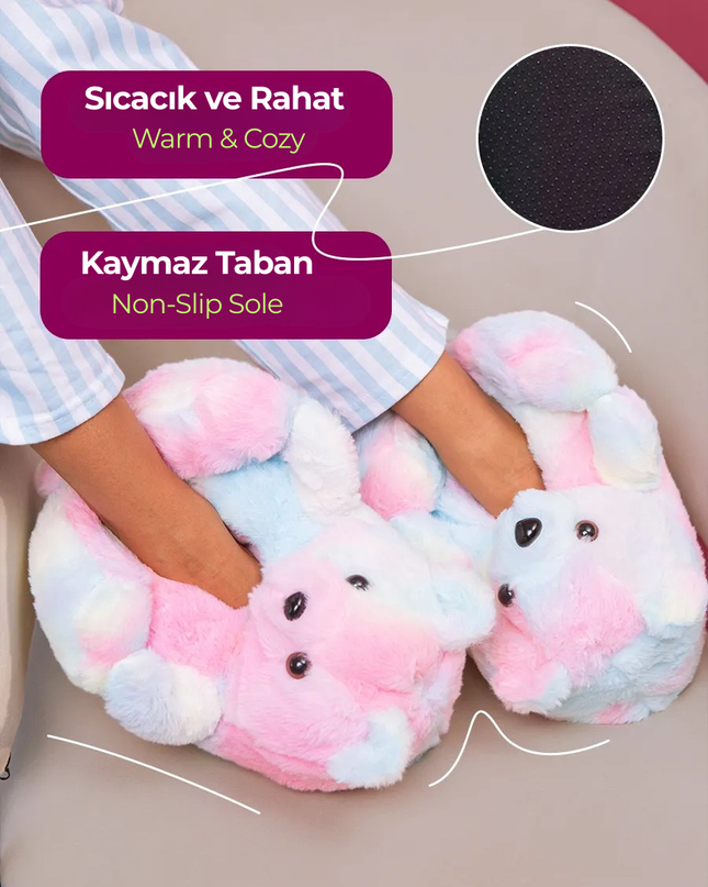 Pofidik Ayı